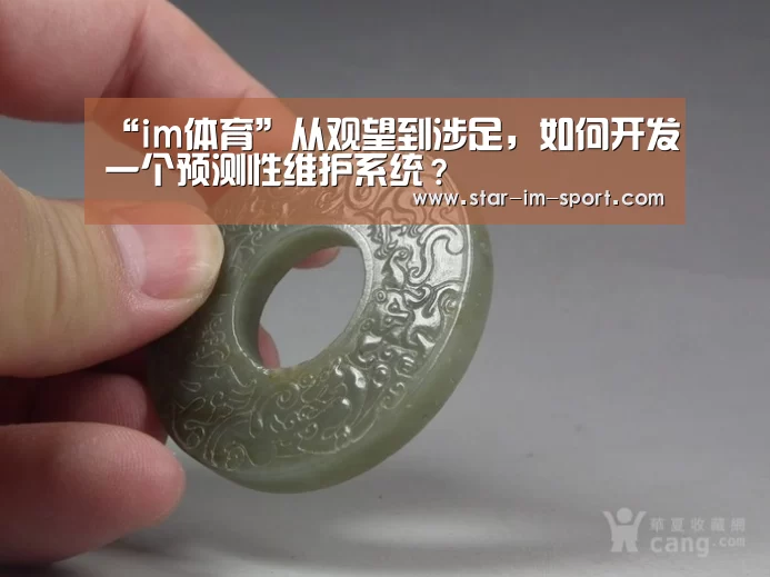 im体育下载