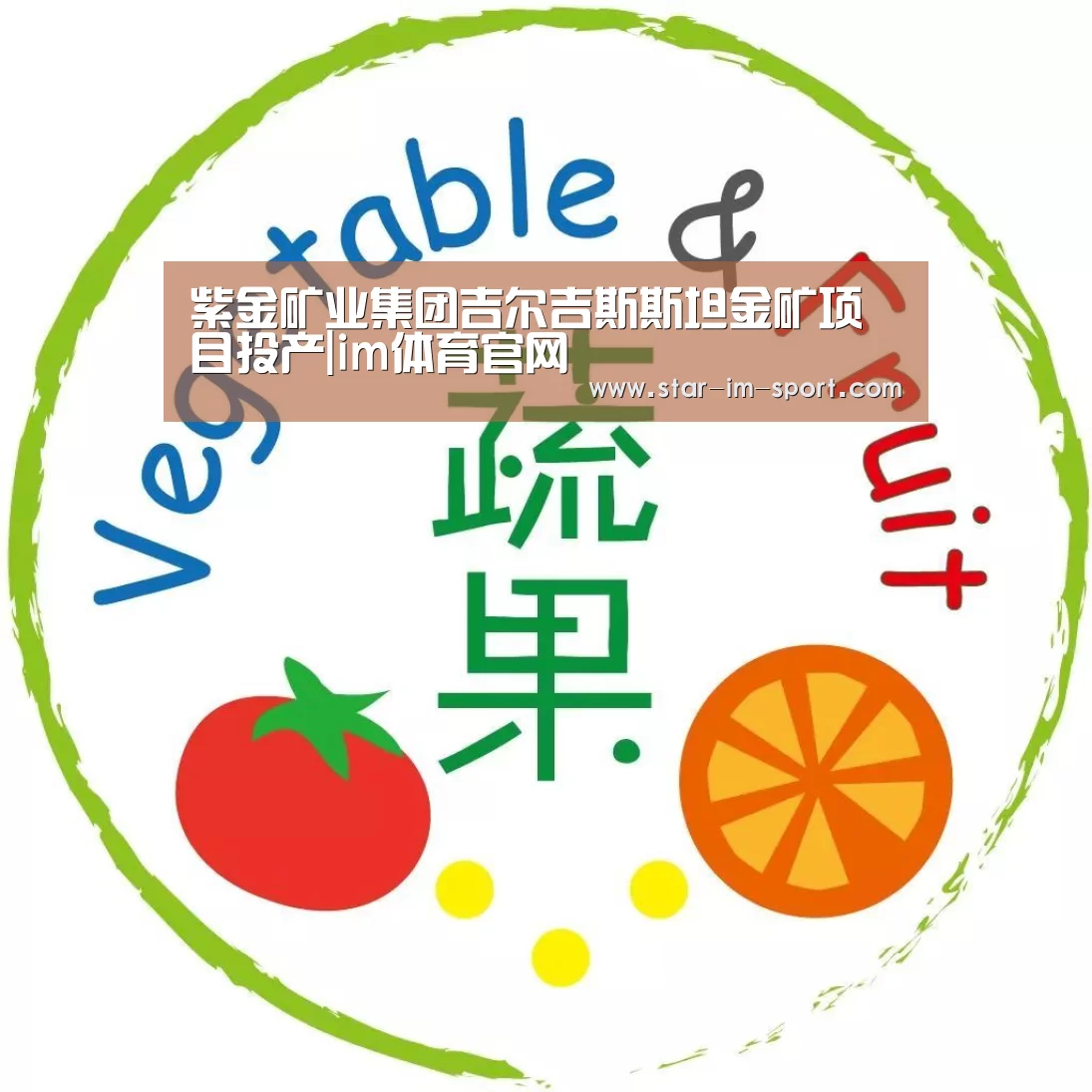 im体育官网